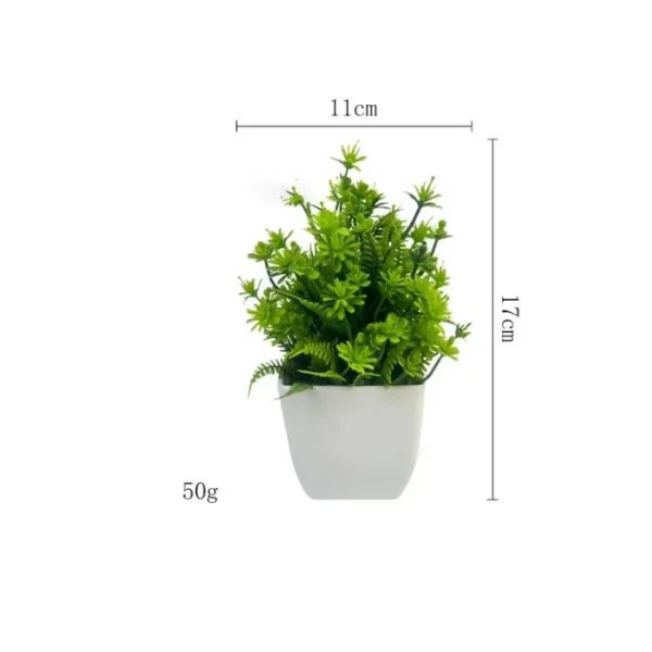 Cây Trang Trí Để Bàn Decor Chậu Vuông – Xanh Tươi Mini Cho Không Gian Làm Việc & Nhà Cửa 13 Chậu cây trang trí để bàn, decor chậu vuông_24 (2)