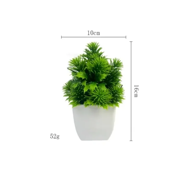 Cây Trang Trí Để Bàn Decor Chậu Vuông – Xanh Tươi Mini Cho Không Gian Làm Việc & Nhà Cửa 12 Chậu cây trang trí để bàn, decor chậu vuông_24 (3)