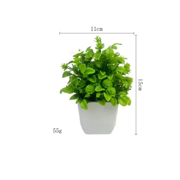 Cây Trang Trí Để Bàn Decor Chậu Vuông – Xanh Tươi Mini Cho Không Gian Làm Việc & Nhà Cửa 10 Chậu cây trang trí để bàn, decor chậu vuông_24 (5)