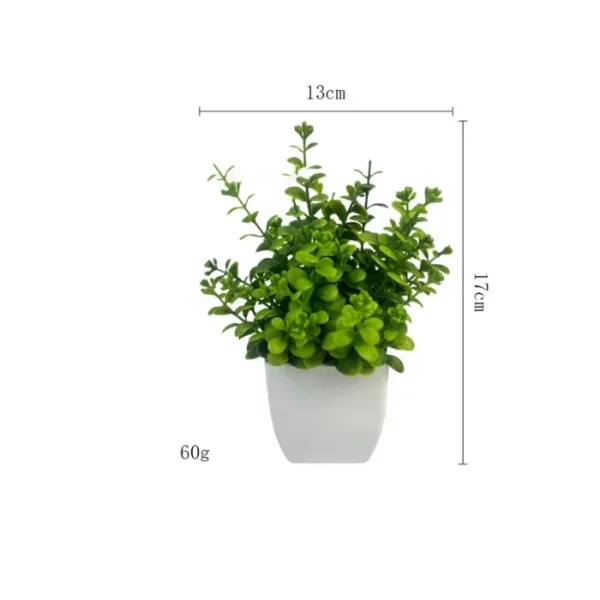 Cây Trang Trí Để Bàn Decor Chậu Vuông – Xanh Tươi Mini Cho Không Gian Làm Việc & Nhà Cửa 9 Chậu cây trang trí để bàn, decor chậu vuông_24 (6)