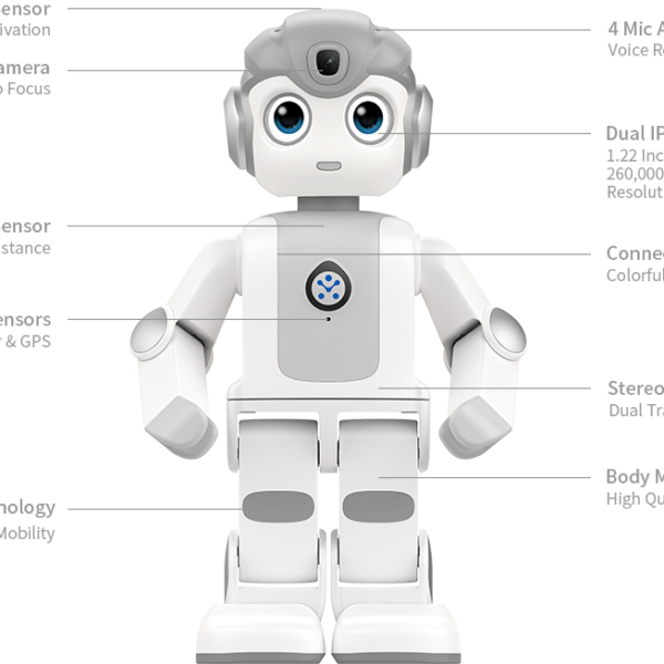 Robot Hình Người Alpha Mini-Trợ Lý AI & Giáo Dục 8 Robot Hình Người Alpha Mini-Trợ Lý AI & Giáo Dục - Ảnh 4
